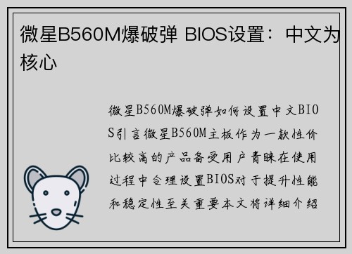 微星B560M爆破弹 BIOS设置：中文为核心